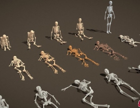 Blender����������߰�ģ�� Props Pack Human Skeleton