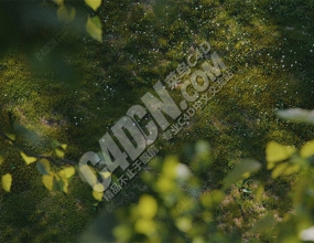 C4D����ǿ��ϵͳֲ�������ĺ����� Laubwerk Surface SPREAD v2.0.7֧��R25