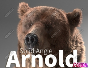 C4D��ŵ����Ⱦ����� SolidAngle C4DtoA 4.8.1 ֧��R21-2025