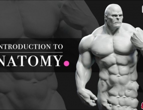 ZBrush���弡��ṹ��̽�ģ����Ƥ��֬�������̳�