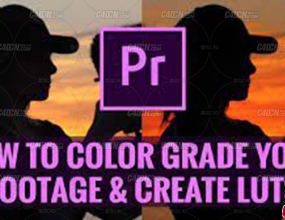 Adobe Pr��Ƶ��ɫ��ɫ�ּ��Զ���LUTSԤ��̳�
