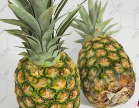 ����ˮ��ģ�� Pineapple Fruit model