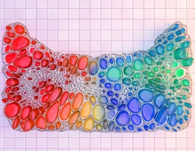houdini èͷ