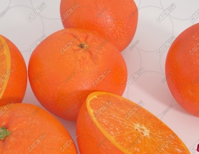 ����ˮ��ģ�� Tangerines Fruit model