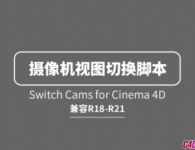 C4D�Զ����������Ĭ����ͼ����ɵ���л��ű� Switch Cams