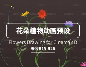 C4D����ֲ��ӭ��ҡ�ڷ���������ģ��xpressoԤ�� Flowers Drawing