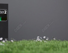 C4D���-����ֲ���� Grass Painter 2.1.1