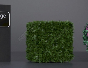 C4D���-������Ҷ��������ֲ�����ɲ�� Easy Hedge 1.0