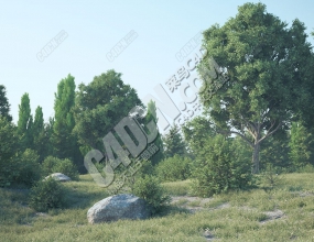 C4D��ǿֲ�������º�����(�����̳�) Forester v1.5.2 For Cinema 4D R14-R25