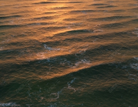 C4D����ģ���������� aaOcean Suite