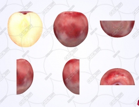 ����÷��ˮ��ģ�� Plums Fruit model