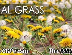C4DԤ�� дʵ����ֲ��ģ��Ԥ��� VIZPARK Real Grass for Cinema4D MUS3