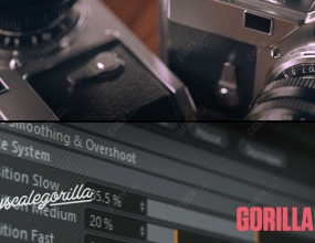 GSG������C4D������������ GorillaCam V1.0151