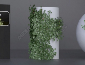 C4D���-����������ֲ�����ɲ�� Easy Ivy 1.0.1