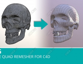 ����C4D���������������ı���ģ���Ż����֧��R25 Quad Remesher