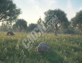 C4D���-ɭ����ʯֲ����ľ���������������Forester v1.5
