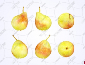 ����ˮ��ģ�� Pears Fruit model