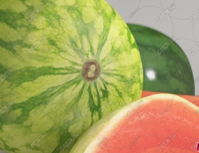 ����ˮ��ģ�� Water Melon Fruit model