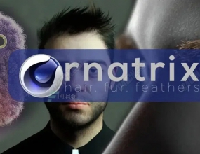 C4D�߼�����ë��Ƥë����ͷ��������ĺ����� Ornatrix v2 2.0.10.26200