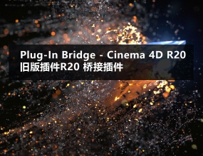 �ɰ���R20 �ŽӲ�� Plug-In Bridge - Cinema 4D R20