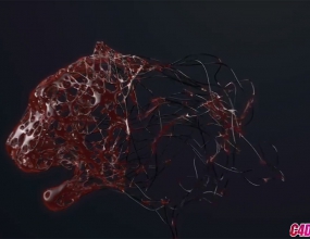 C4D��ôʹ��RKT Ricochet����Ư�����ο�����Ư������Ч��ͼ�Ľ̳�