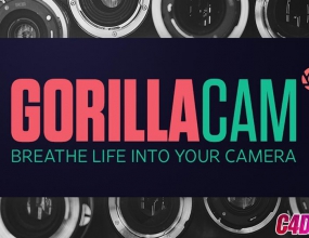 �������������� GorillaCam v1.0