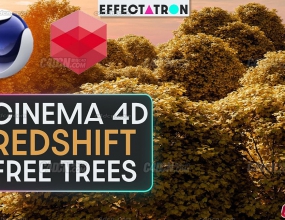 [������Ļ]C4D+Redshift�Ϸ���ľ����ɭ�ֳ���������Ⱦ�߼��̳�