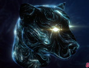���ڰ汾X-Particles 4.0-0642 Demo�������ú�����ע������˵��