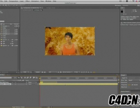 ����Ӱ�Ӻ�����Ч�����̳�].The.Gnomon.Workshop.After.Effects.Tutorials.Essential