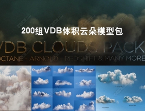 200��VDB����ƶ�ģ�Ͱ�