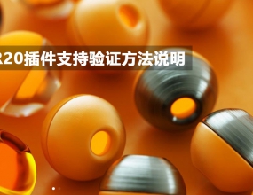 C4D R20���֧����֤����˵��