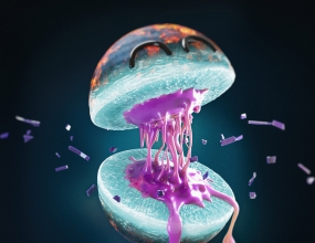 C4D��������ɫ ���ͻ�