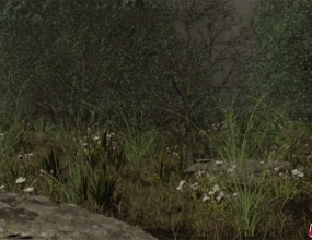 C4D+RS��ɫ�ݵ���Ⱦ�̳� Green Grass Field Near the Cinema 4D