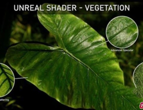 Unreal Engine 5.2��ɫֲ��ҶƬҶ��ͨ�����ʽ̳�