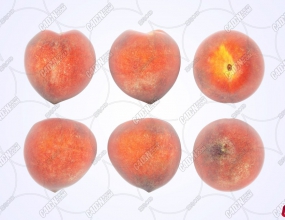 ����ˮ��ģ�� Peaches Fruit model