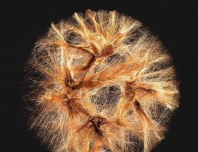 Redshift��Ⱦ�������������ʻ�����ȾC4D�����ļ�