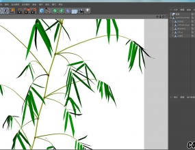 OnyxTREE BAMBOO רҵ���ӽ�ģ�����������棩